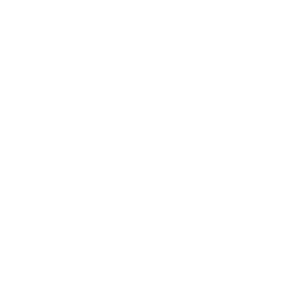 AQP Adwords Qualified Professional | Google
